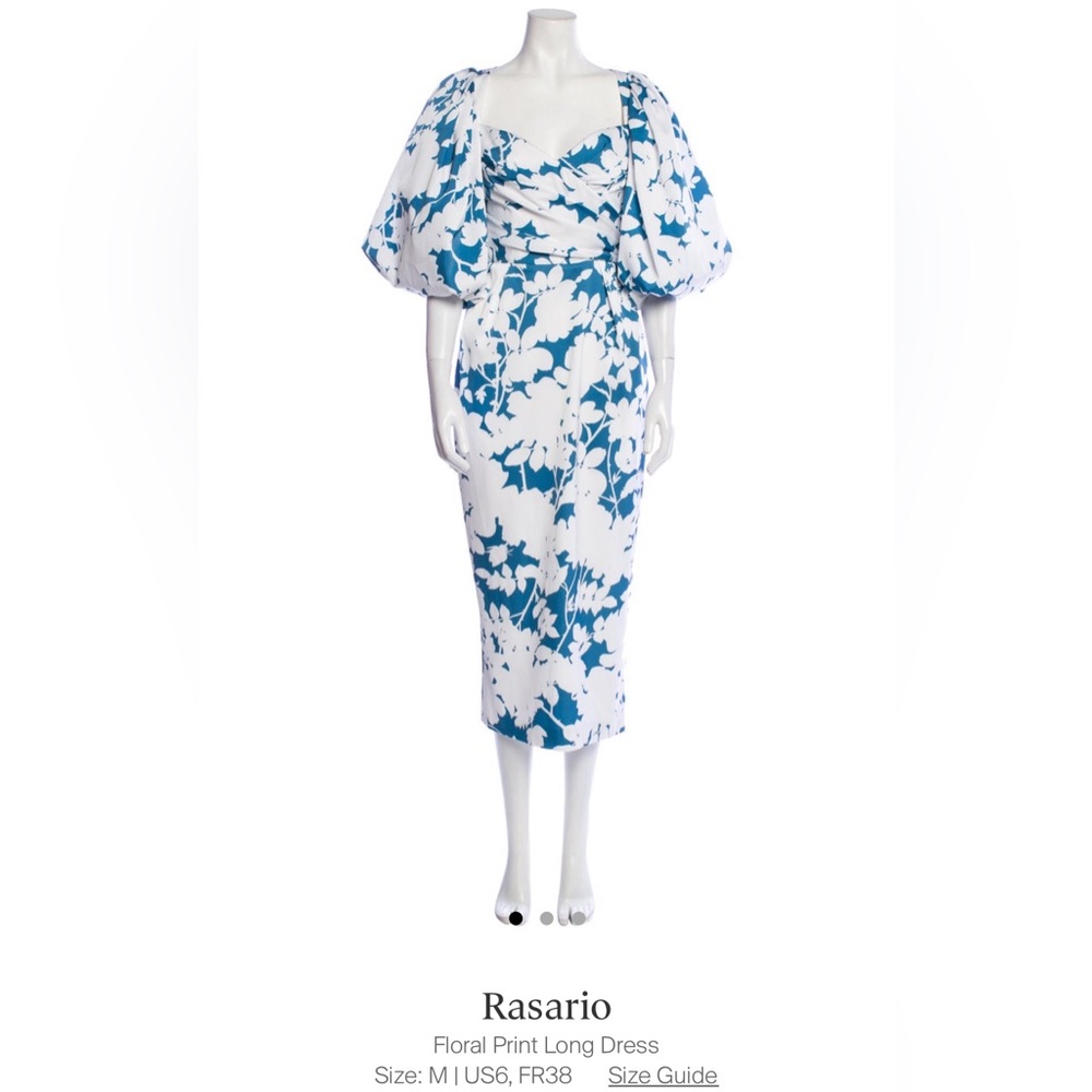 Rasario Puff Sleeve Dress